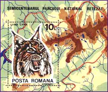 1985. Lynx and Retezat Mountains.