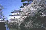Shibata Castle, the "Castle of Irises"