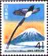 6/23/1993 Black paradise flycatcher and Mt. Fuji