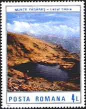 1987. Landscapes. Lace capra. Mt. Fagaras