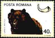 1976. Brown Bear.