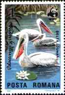 1984. Pelicans of the Danube Delta.