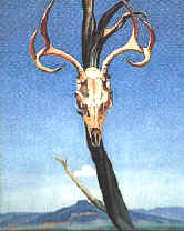 Georgia O'Keeffe:  "Deer's Skull with Pedernal".  Oil painting 1936.
