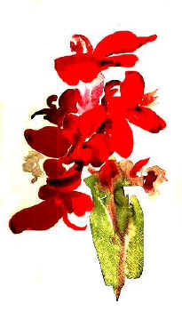 Georgia O'Keeffe:  Red Canna, c. 1920, watercolour on paper.  Yale University Art Gallery