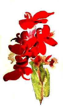 Georgia O'Keeffe: Red Canna, c. 1920, watercolour on paper. Yale University Art Gallery