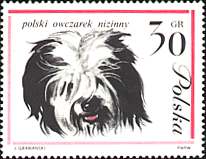 Poland, 1963. Polish Sheep Dog. Sc. 1116.