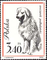 Poland, 1963. Sheep Dog. Sc. 1122