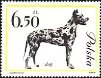 Poland, 1963. Great Dane. Sc. 1123