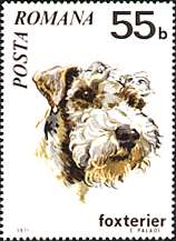 Romania, 1971. Fox Terrier. Sc. 2229