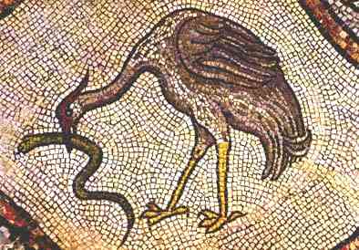 Mosaic floor, 12 Century. Stork with snake. High altar.