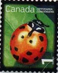 Canadian Nice Definitives — original stamp illustration