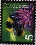 Canadian Nice Definitives — original stamp illustration