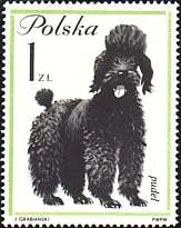 Dogs on Stamps, from the original article