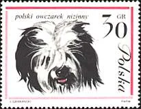Dog-themed postage stamp, original illustration 2
