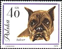 Dog-themed postage stamp, original illustration 3