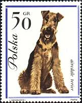 Dog-themed postage stamp, original illustration 4