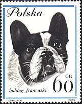 Dog-themed postage stamp, original illustration 5