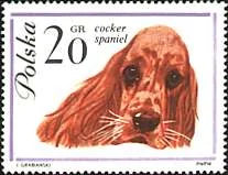 Dog-themed postage stamp, original illustration 6