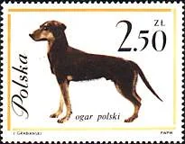 Dog-themed postage stamp, original illustration 7