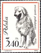 Dog-themed postage stamp, original illustration 8