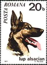 Dog-themed postage stamp, original illustration 9