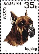 Dog-themed postage stamp, original illustration 12