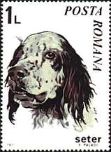 Dog-themed postage stamp, original illustration 15