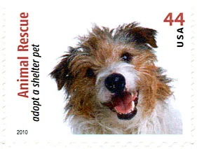Dogs on Postal Stamps — original stamp illustration