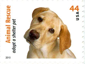 Dogs on Postal Stamps — original stamp illustration