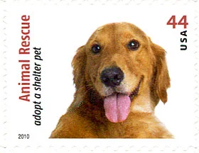 Dogs on Postal Stamps — original stamp illustration