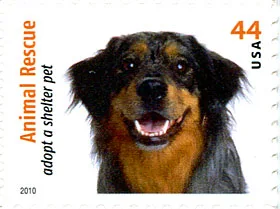 Dogs on Postal Stamps — original stamp illustration
