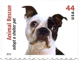 Dogs on Postal Stamps — original stamp illustration