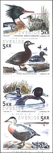 Ducks on Stamps — original stamp illustration