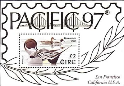 Ducks on Stamps — original stamp illustration