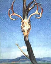 Georgia O'Keeffe:  "Deer's Skull with Pedernal".  Oil painting 1936.