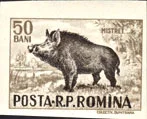 How to Scan Postage Stamps