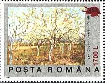 Inflation and Deflation in Romania 2000, on Stamps — original stamp illustration