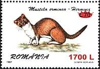 Inflation and Deflation in Romania 2000, on Stamps — original stamp illustration