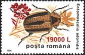 Inflation and Deflation in Romania 2000, on Stamps — original stamp illustration
