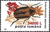 Inflation and Deflation in Romania 2000, on Stamps — original stamp illustration