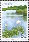 8/1/1997. Natural habitat at Hozoji-numa Pond, by Rikisaburo Terai