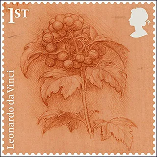 Leonardo da Vinci - 500th Death Anniversary — original stamp illustration