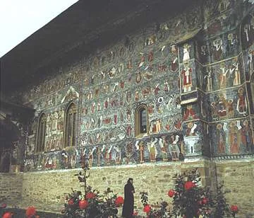 Sucevita