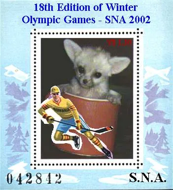 SNA -Winter Olympic Games
