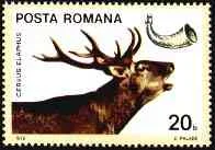 1976. Red deer.